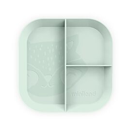 Set de platos infantiles con separadores