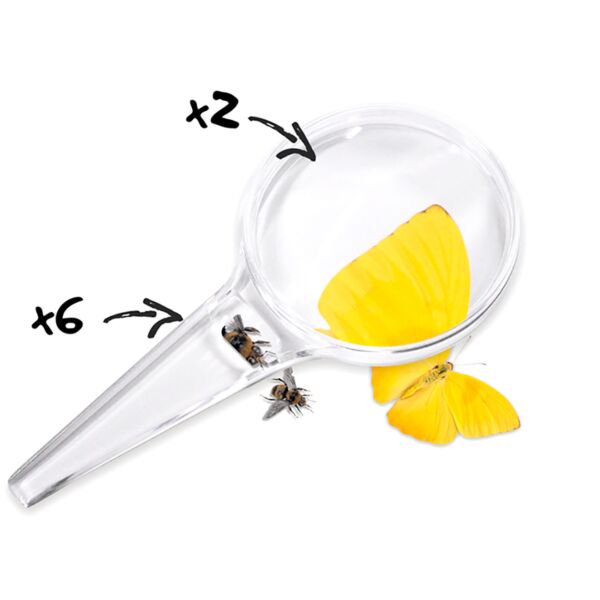 Lupa de 80 mm (2x-6x)
