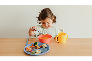 Baby Led Weaning (BLW)