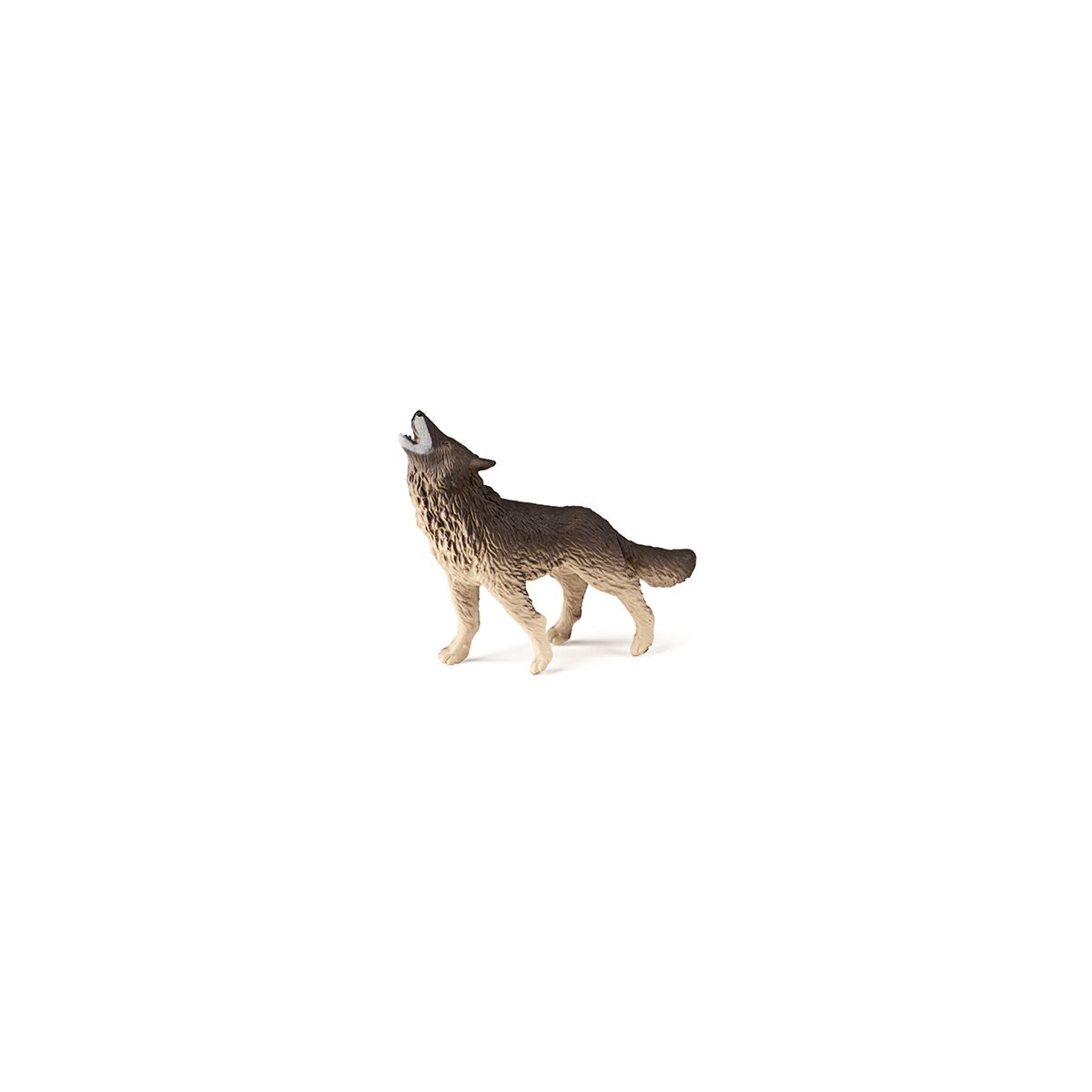 5005025126_4