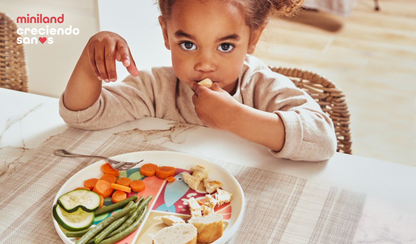 ¿Alimentas a tus hijos siguiendo el Plato de Harvard? Lucía, mi pediatra nos cuenta cómo hacerlo