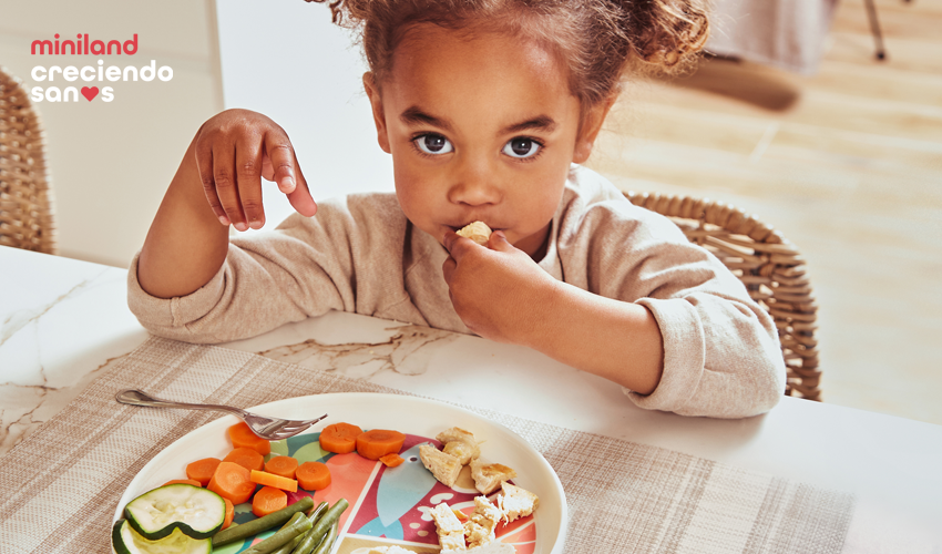 ¿Qué es el plato de Harvard y por qué es tan importante para nuestros hijos? Lucía, mi pediatra, nos lo cuenta