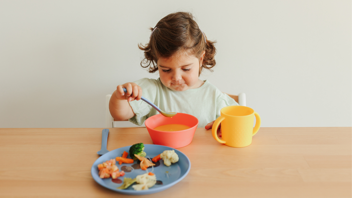 Baby Led Weaning (BLW)