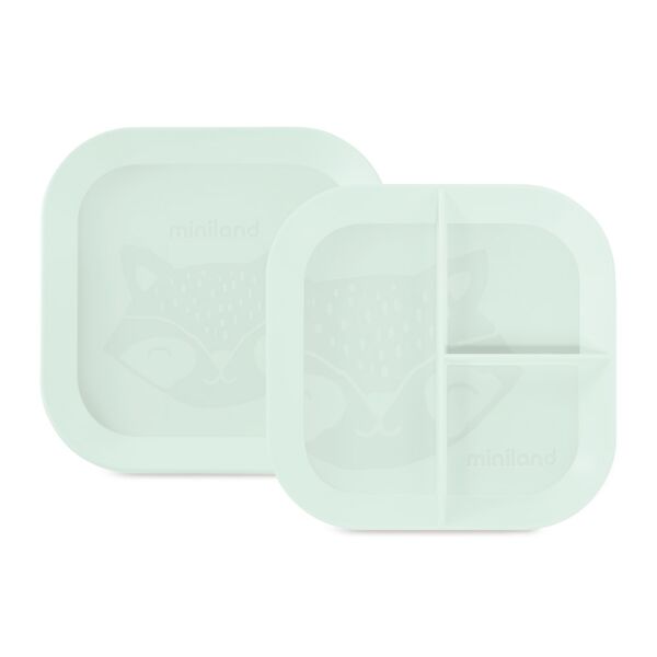 Square plates set with compartments