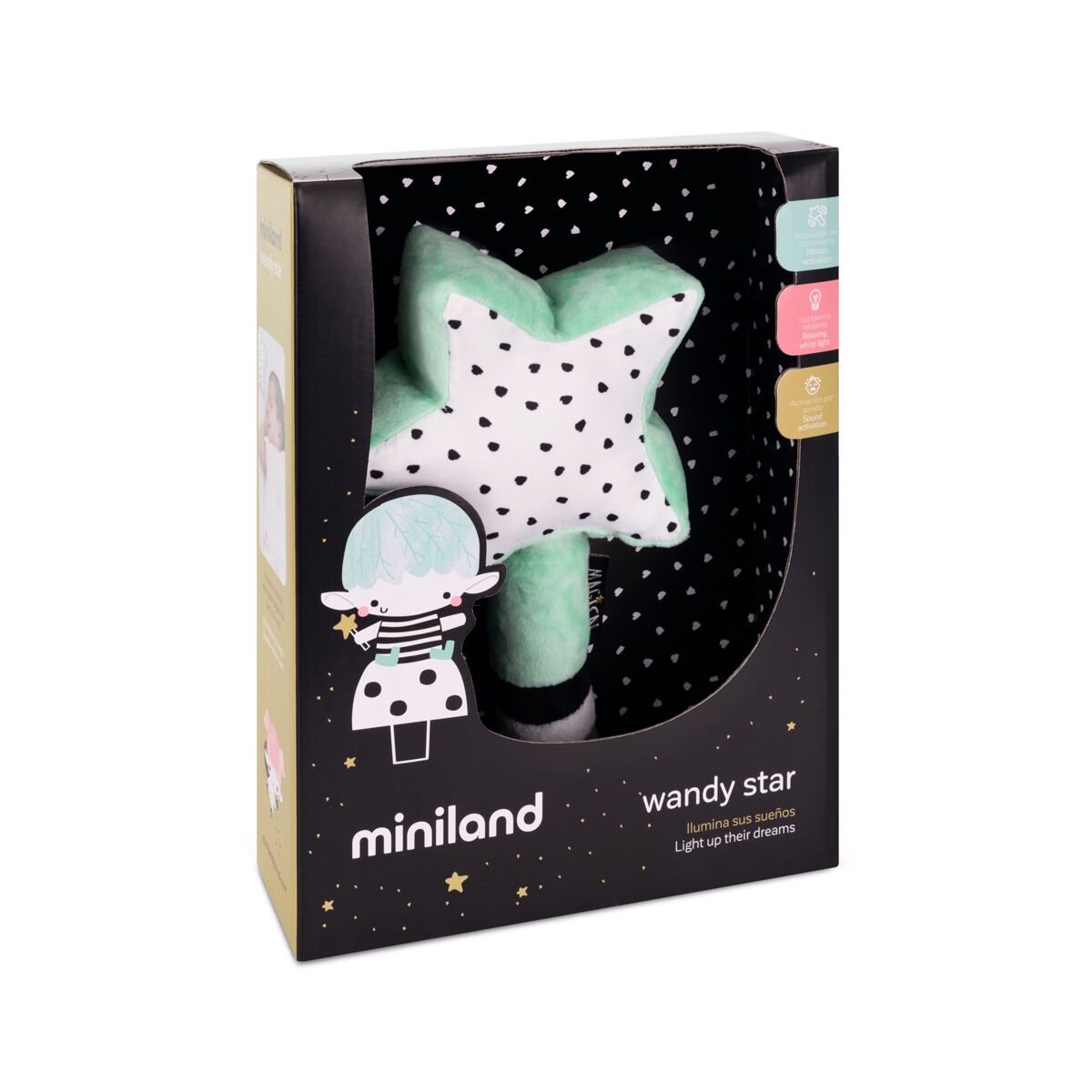 wandy star
