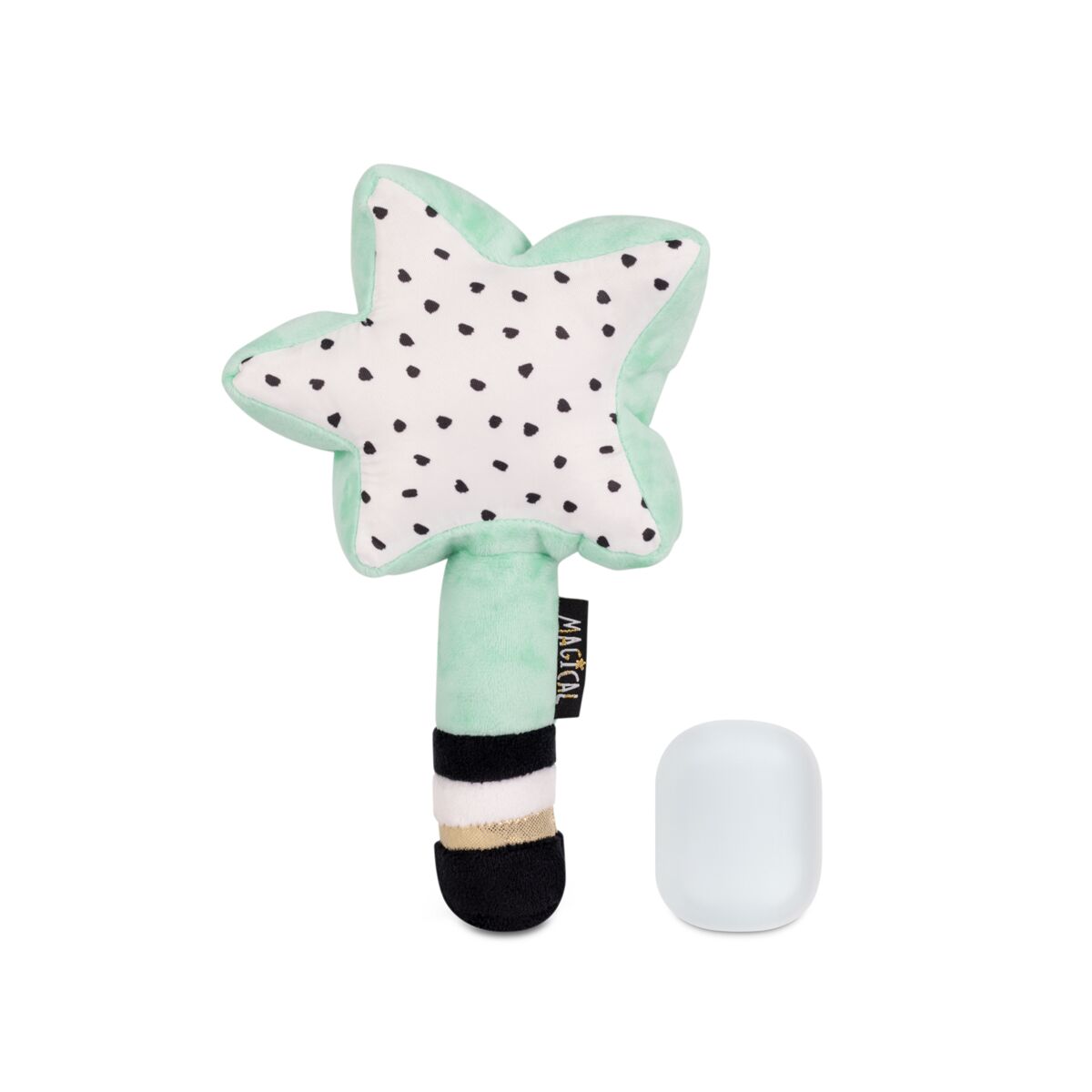 wandy star